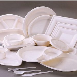 Bagasse-products